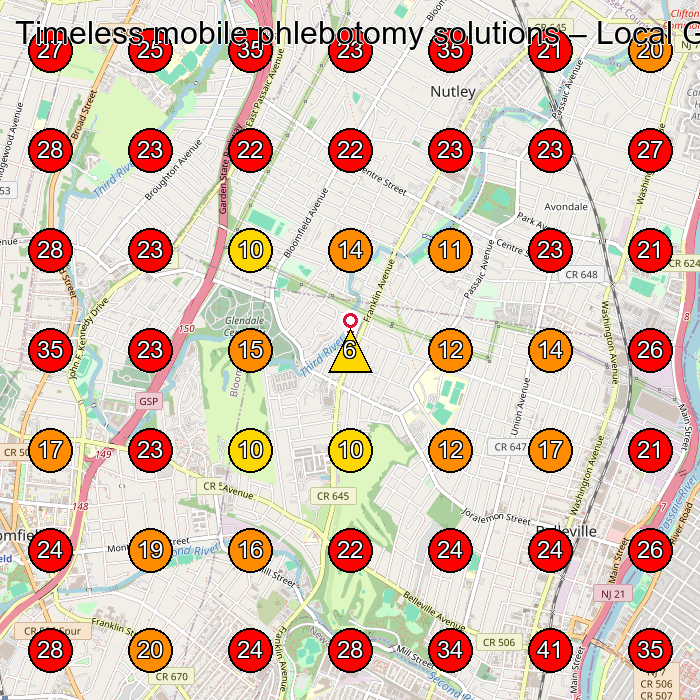 Timeless mobile phlebotomy solutions GeoGrid visibility map for Nursing Home in Newark